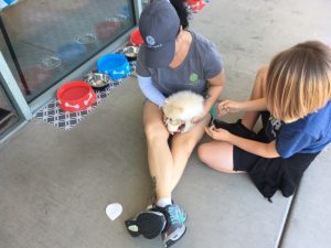 Vineyard Henderson Memory Care