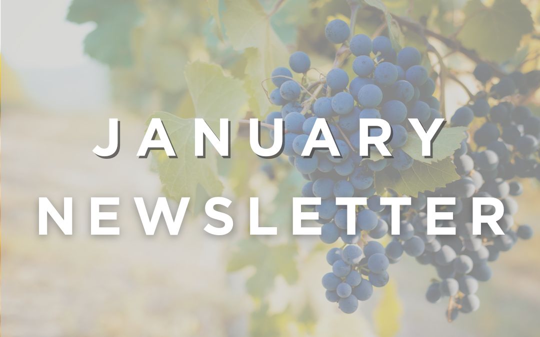 January 2021 Newsletter