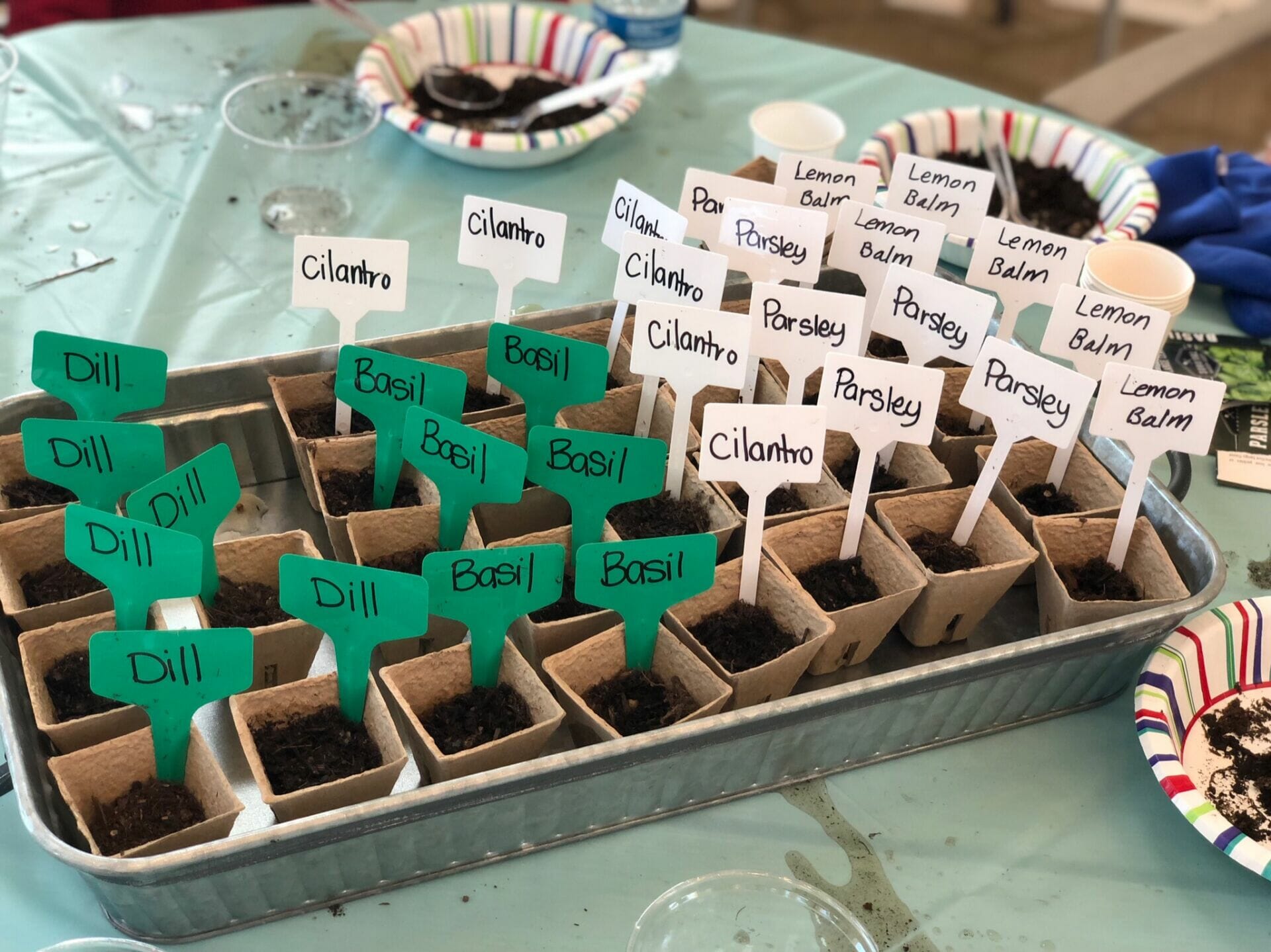 Gardening Update