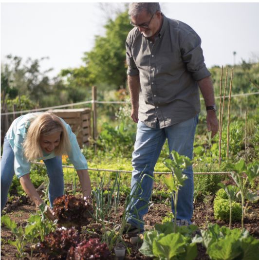 Summertime Safety Tips for Seniors