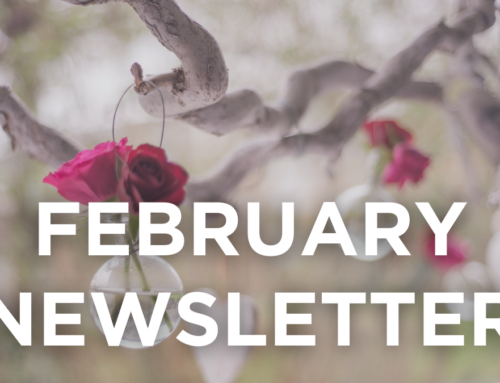 February 2023 Newsletter