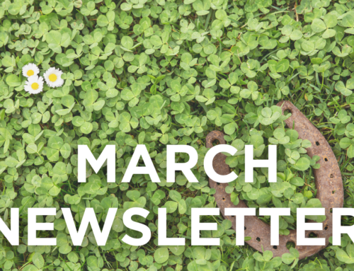 March 2023 Newsletter